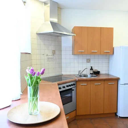 Apartman Teatro Aikstes Apartamentai *