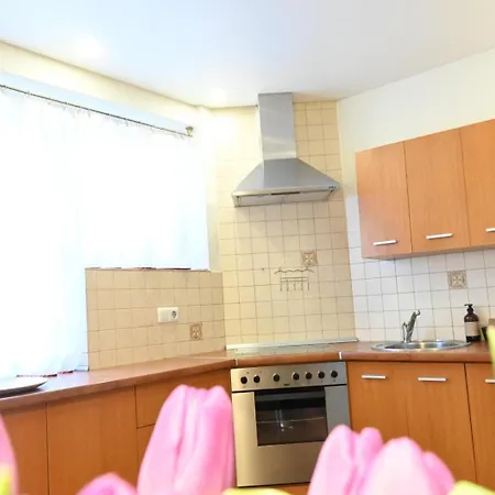 Teatro Aikstes Apartamentai Клайпеда